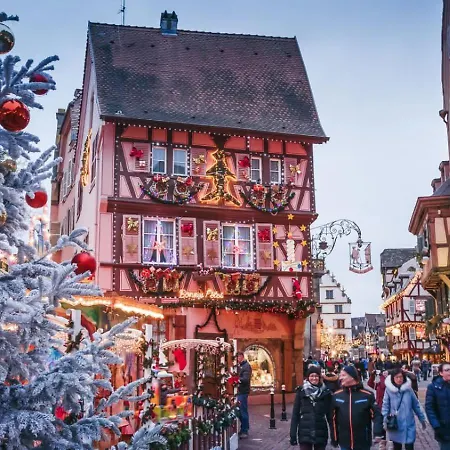 Apartment Le Rosacker - Proche Centre Ville Et Gare - Terrasse - Parking Gratuit - 2 Chambres - 2 Salles D'Eau - Netflix - A 10 Min Du Marche De Noel Colmar