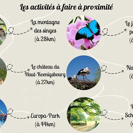Le Rosacker - Proche Centre Ville Et Gare - Terrasse - Parking Gratuit - 2 Chambres - 2 Salles D'Eau - Netflix - A 10 Min Du Marche De Noel Apartment Colmar